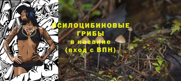 таблы Армянск